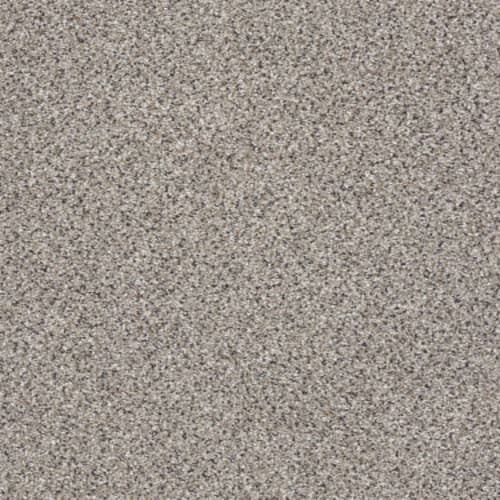 TAKE THE FLOOR ACCENT I