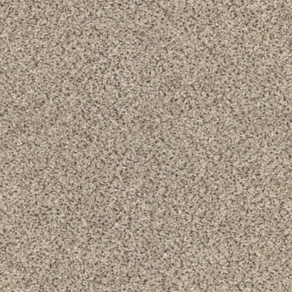 TAKE THE FLOOR ACCENT II