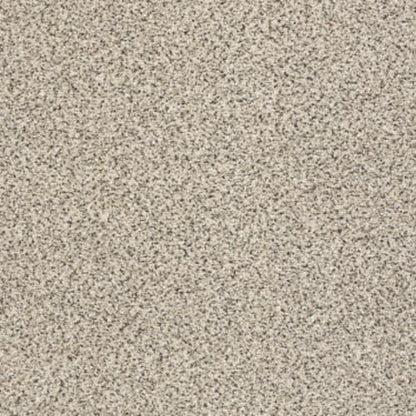 TAKE THE FLOOR ACCENT II