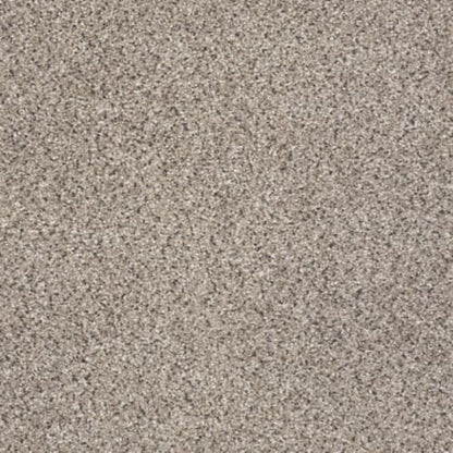 TAKE THE FLOOR ACCENT II