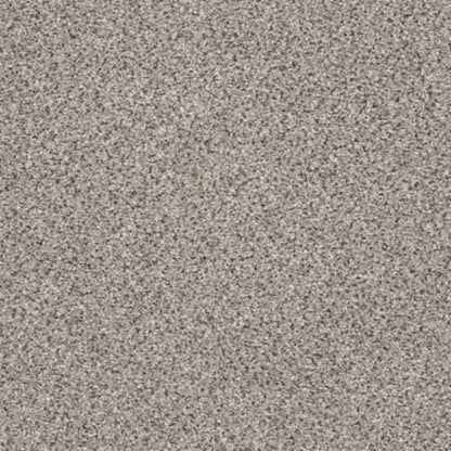 TAKE THE FLOOR ACCENT II in Cold Springs Carpet