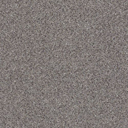 TAKE THE FLOOR ACCENT II