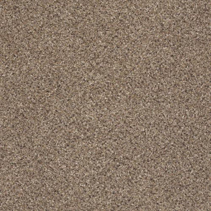 TAKE THE FLOOR ACCENT II