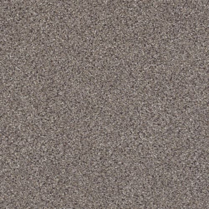 TAKE THE FLOOR ACCENT II