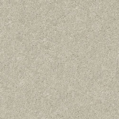 AFTER ALL I in Bird House Carpet