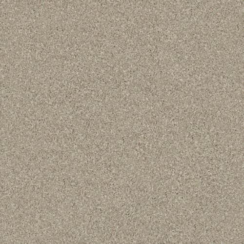 MONTAGE I in Midtown Brown Carpet