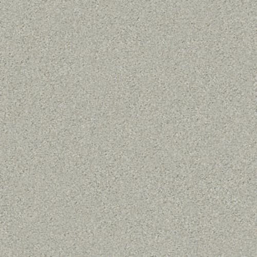 MONTAGE II in River Rock Carpet