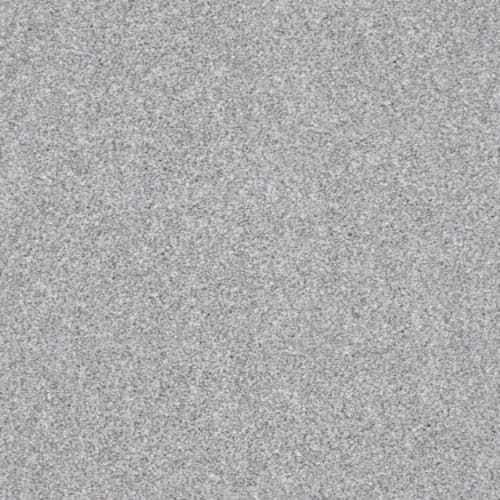 MAKE IT MINE II in Sterling Carpet
