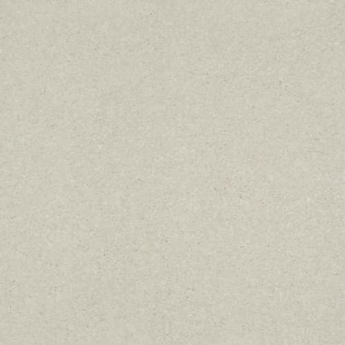 SOLIDIFY I 15' in Minimalist Carpet