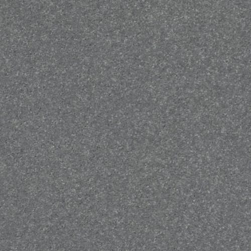 SOLIDIFY II 12' in Concrete Carpet