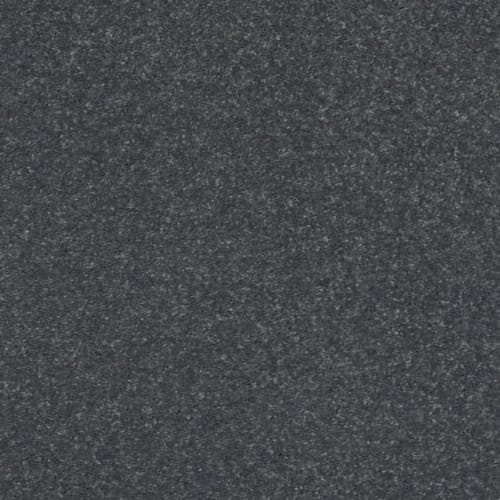 SOLIDIFY II 15' in Iron Carpet