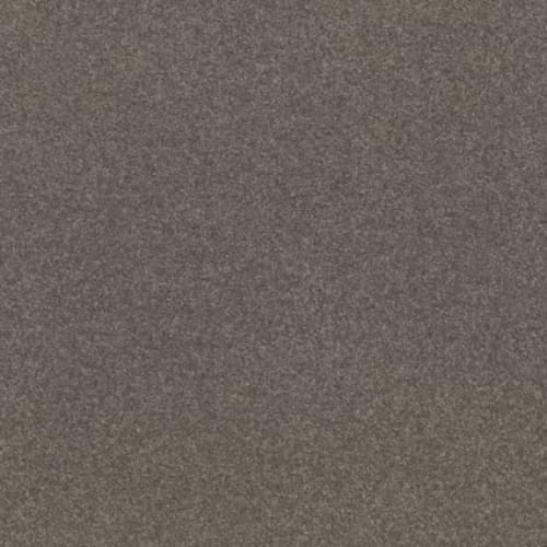 SOLIDIFY III 12' in Pewter Carpet