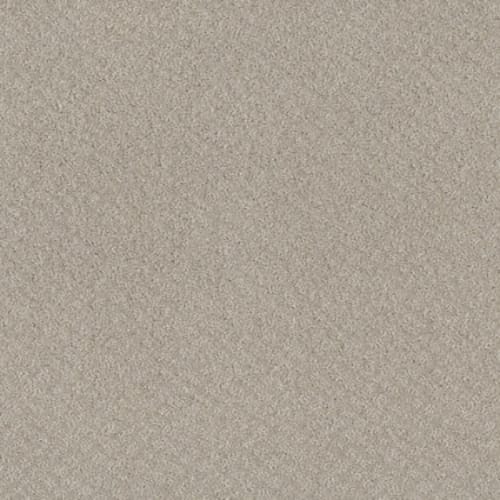 CHIC SHADES in Fossil Path Carpet