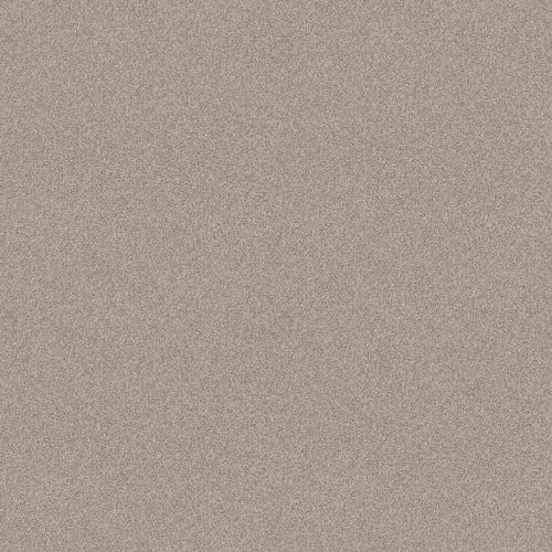 HARMONIOUS I in Fossil Path Carpet