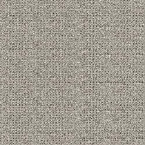 FAINT INTENT in Silver Lining Carpet