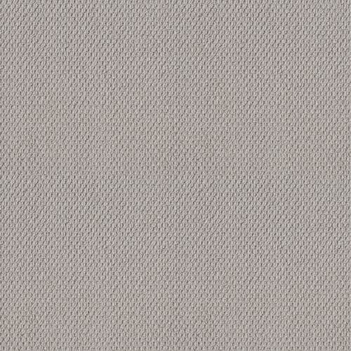 NATURALISTIC in Silver Lining Carpet