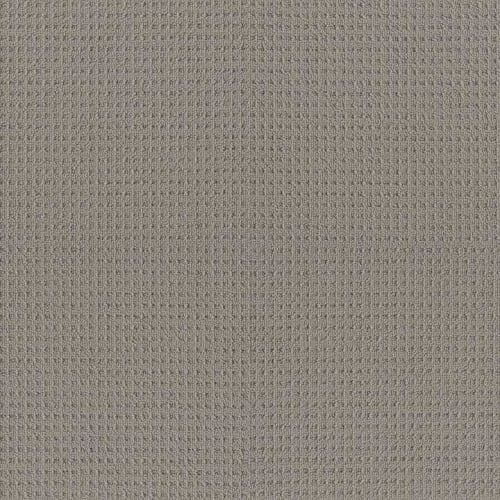 FRAMED VIEW in Industrial Carpet