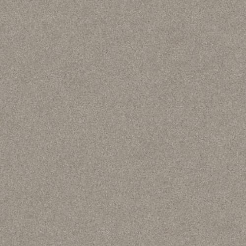 HARMONIOUS III in Fossil Path Carpet