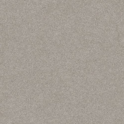 Harmonious IIi In Carpet Flooring