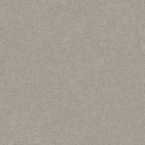 Harmonious IIi In Carpet Flooring