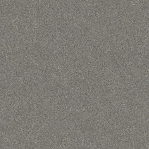WITHOUT LIMITS II in Stainless Carpet