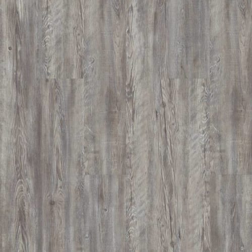 Hollywood Boulevard in Tourist Luxury Vinyl