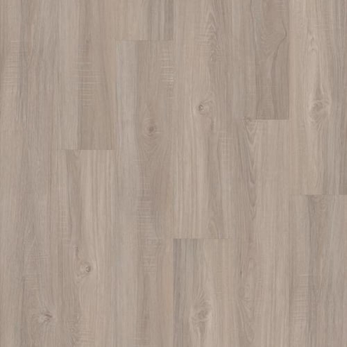 Hollywood Boulevard in Visitors Luxury Vinyl