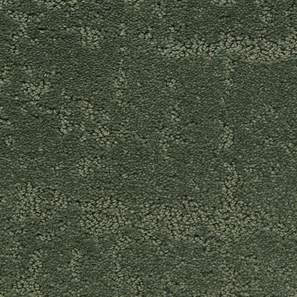 Classic Demeanor in Greenfield Carpet