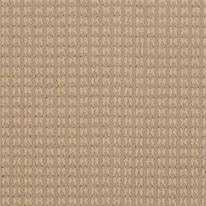 Steadfast in Surry Carpet