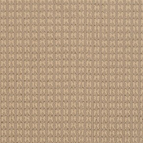 Steadfast in Surry Carpet