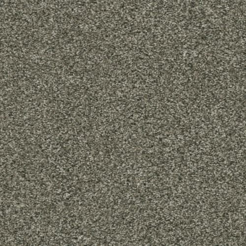 Brazen I in Millstone Carpet