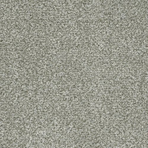 Brazen II in Purity Carpet