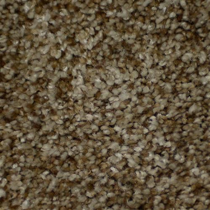 Brilliance in Frisco Carpet