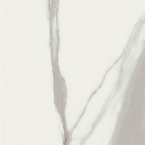 Italia in Natural - 24x24 Tile