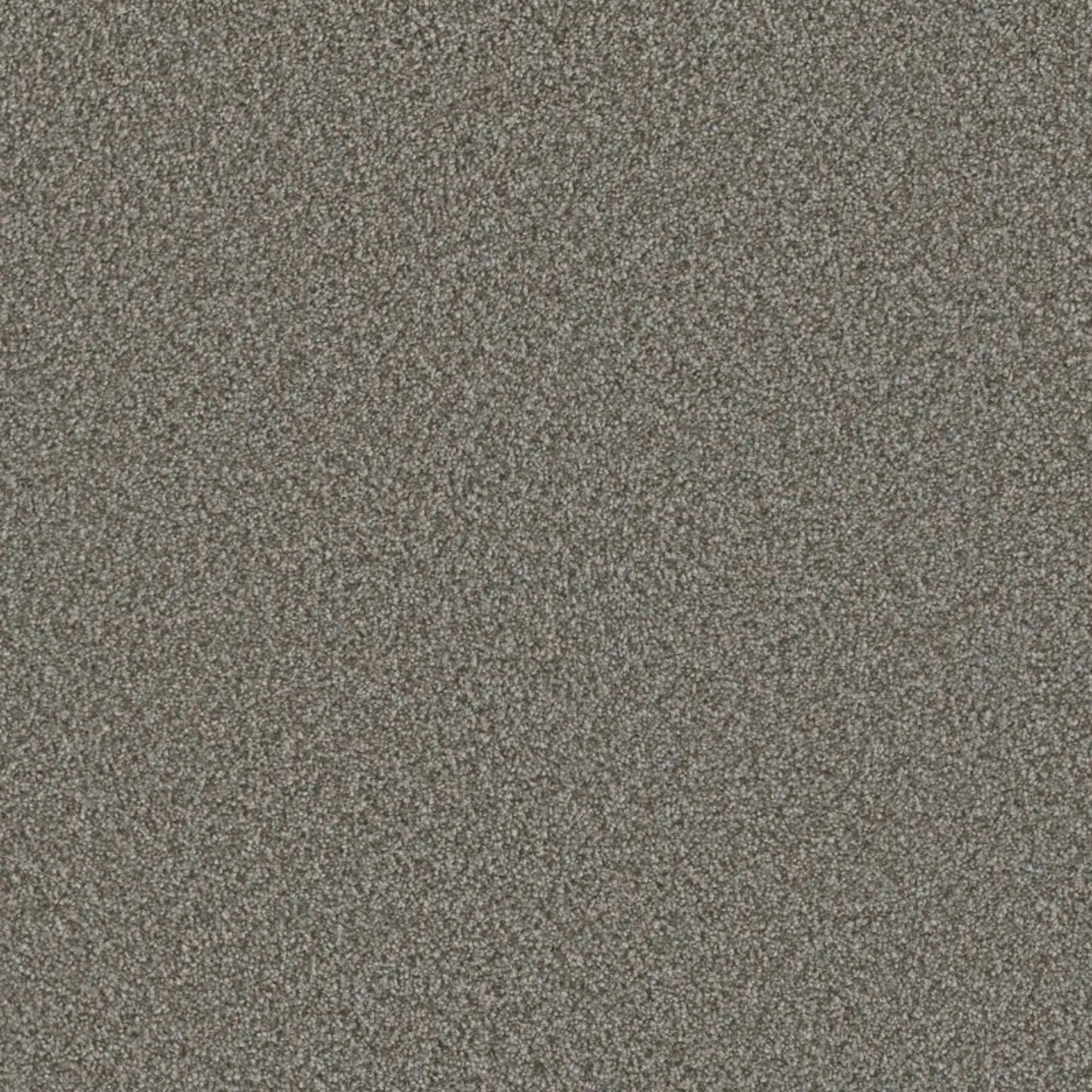 Metropolis I