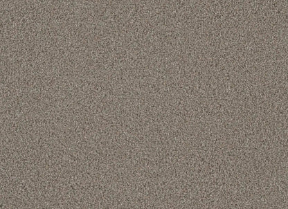Metropolis I