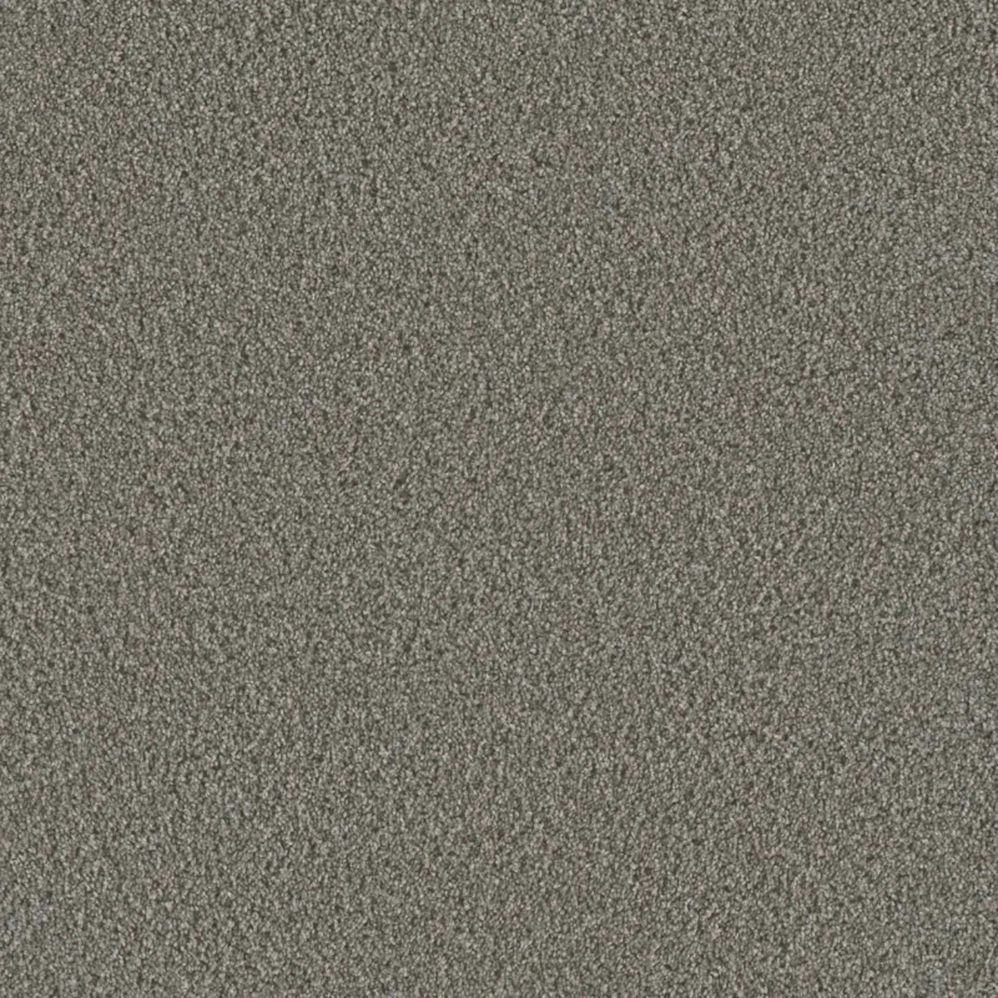 Metropolis I