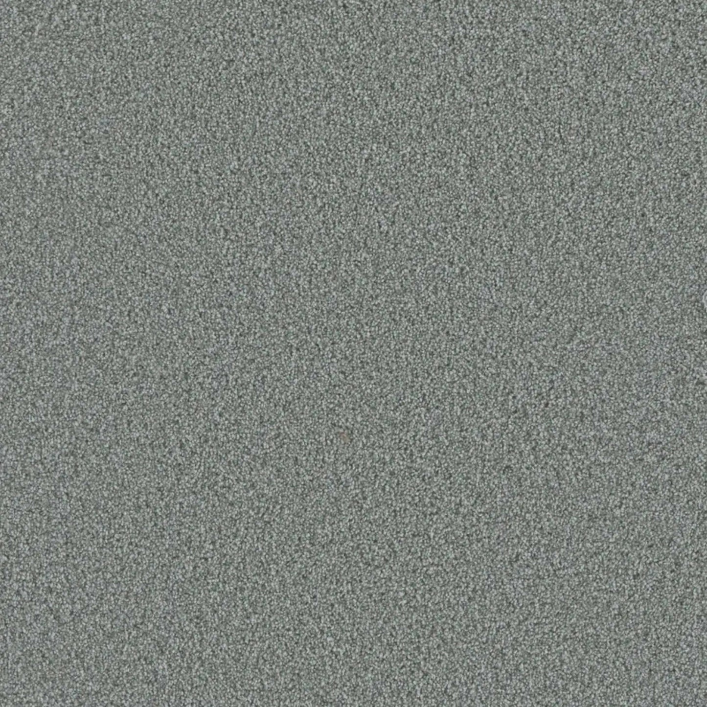 Metropolis I