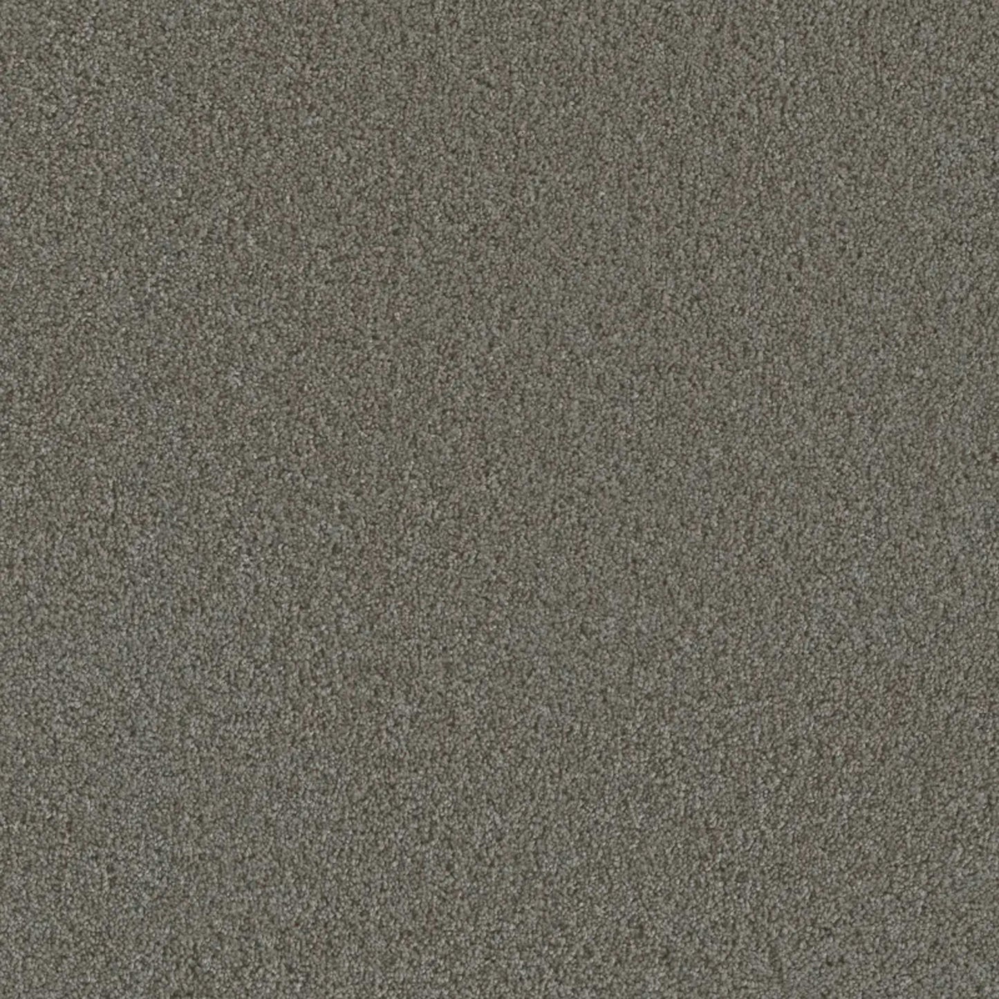 Metropolis I