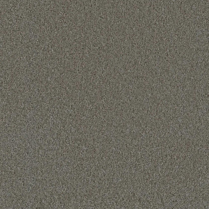 Metropolis I