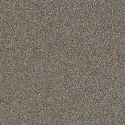 Metropolis III