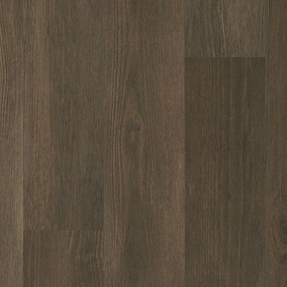 Caldwell in Forest Brown