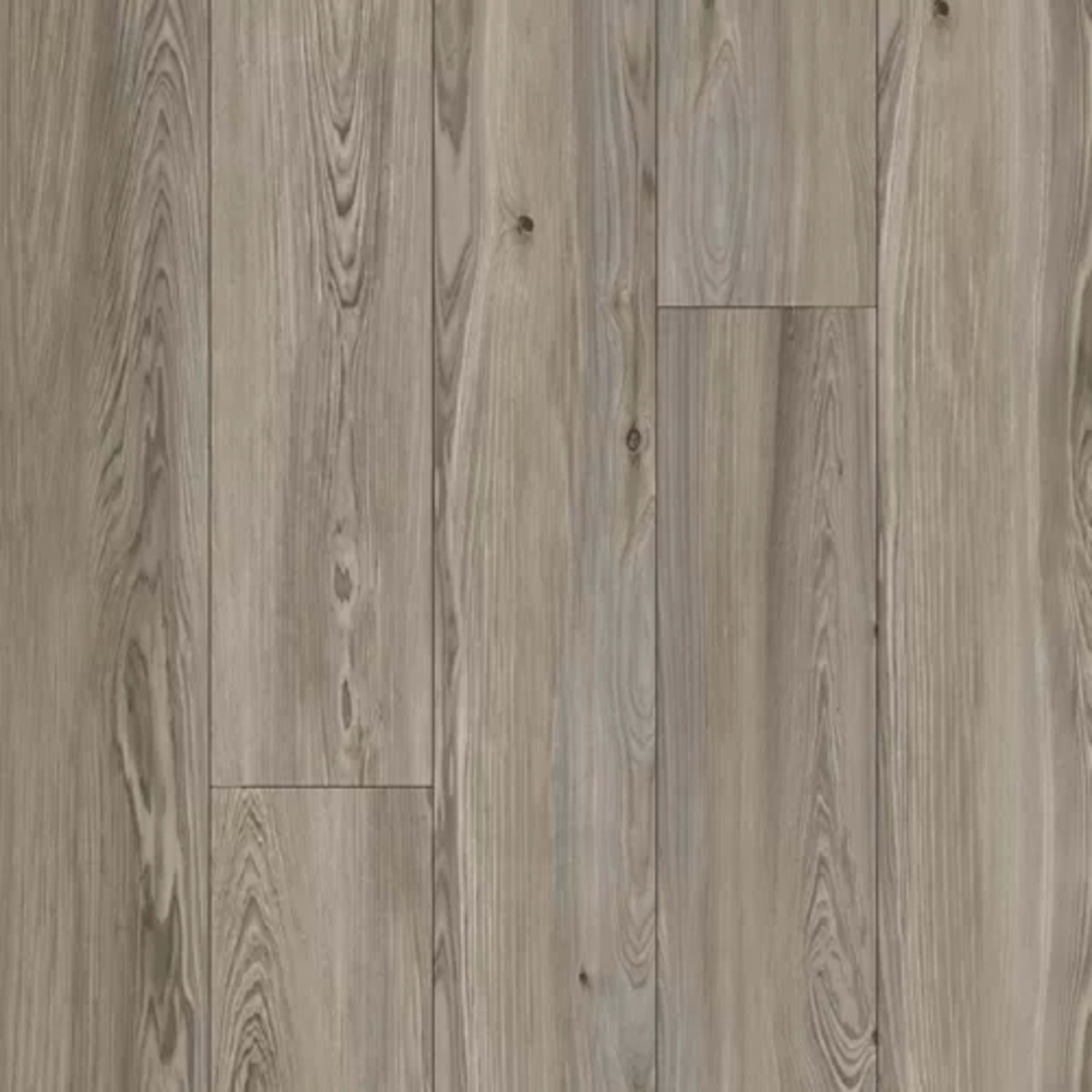 Refined Forest in Platinum Luxury Vinyl