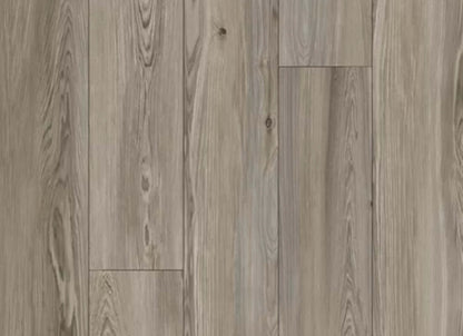 Refined Forest in Platinum
