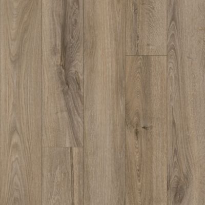 Refined Forest