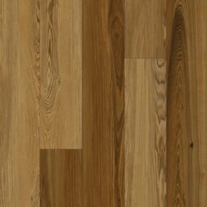 Refined Forest in Platinum