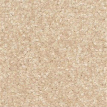 Treasured Moment in Safari Bisque Carpet