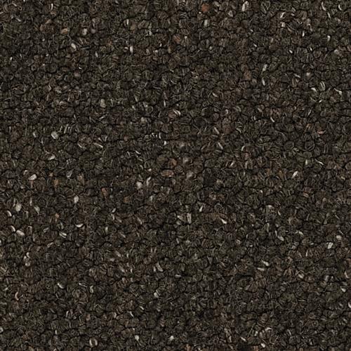 Tibet in Black Carpet