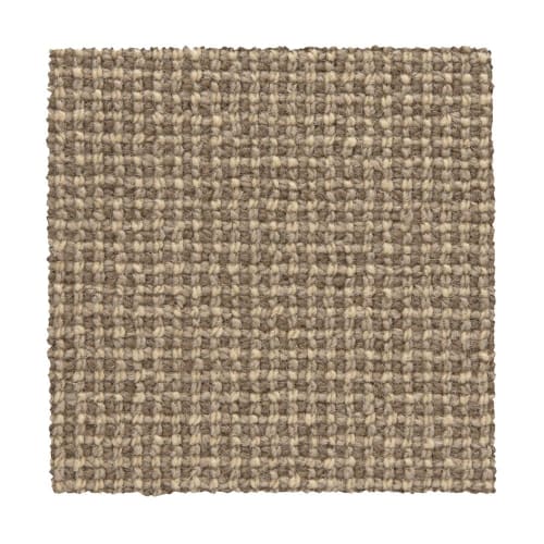 Needlepoint 3 in Coffee Bean Carpet