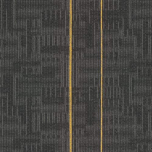 Echo Plank